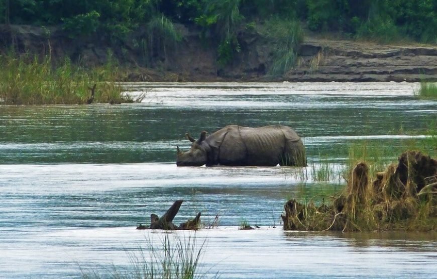 Bardiya National Park