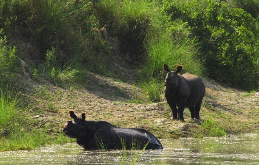 Bardiya National Park